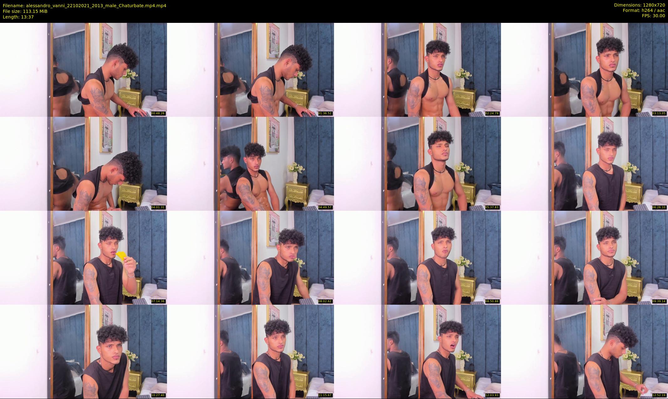 alessandro_vanni — 14 minute Chaturbate male cam show recording, 720p, Oct 22, 2021