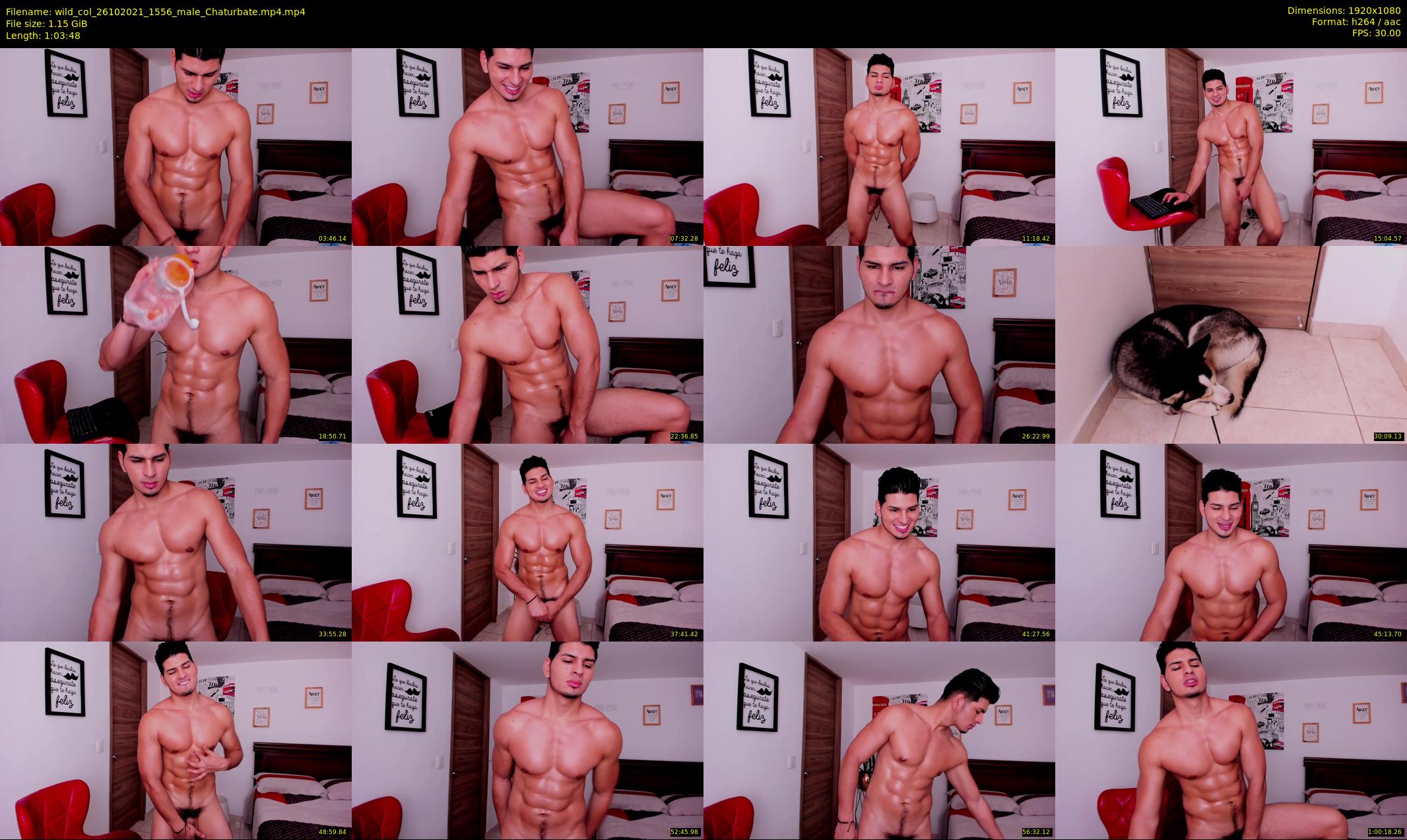 wild_col — 64 minute Chaturbate male cam show recording, 1080p, Oct 26, 2021