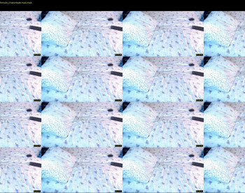 q_t_pie — 8 minute Chaturbate female cam show recording, 1080p, Oct 27, 2021