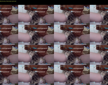 mjgreencat — 12 minute Chaturbate female cam show recording, 720p, Oct 28, 2021