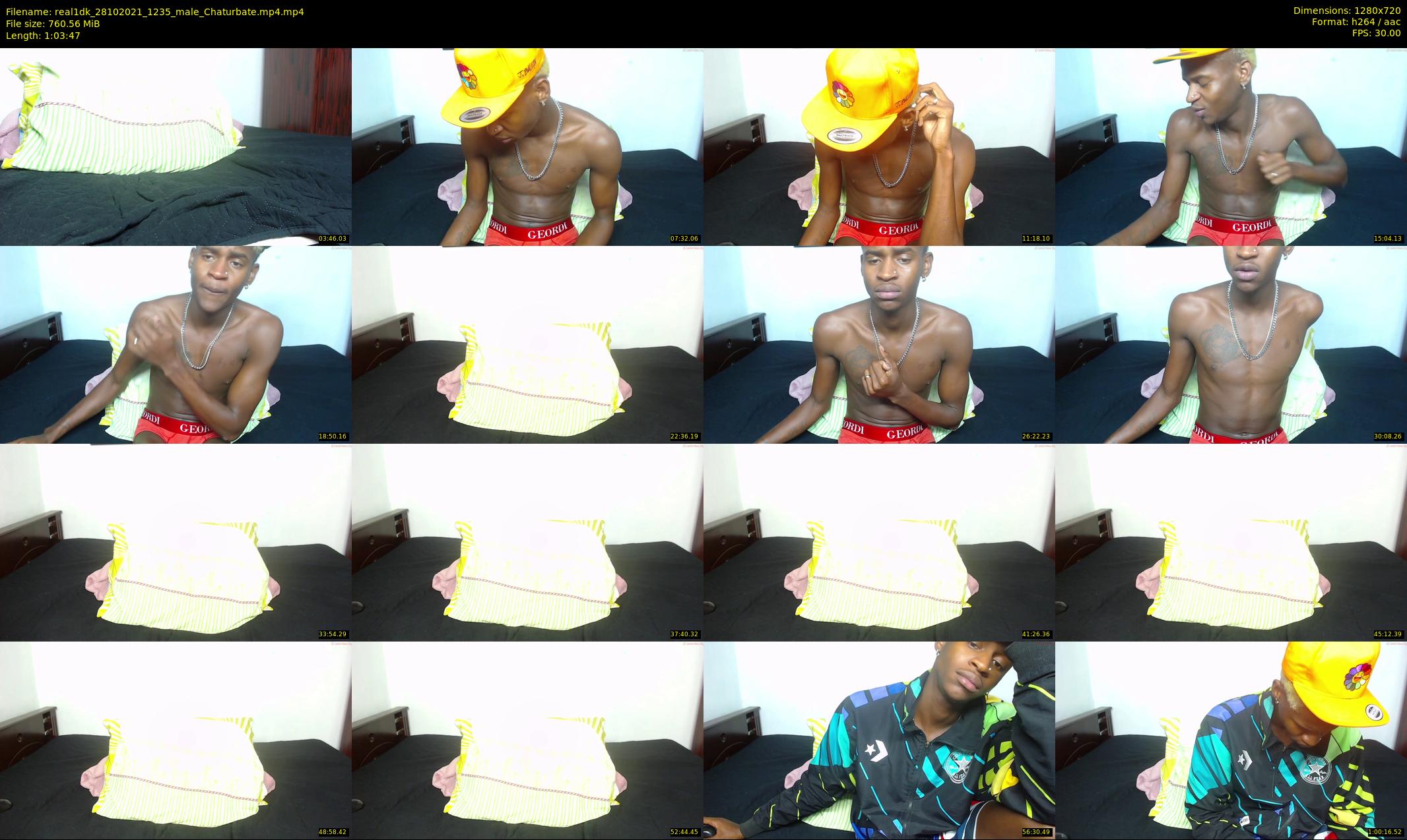 real1dk — 64 minute Chaturbate male cam show recording, 720p, Oct 28, 2021