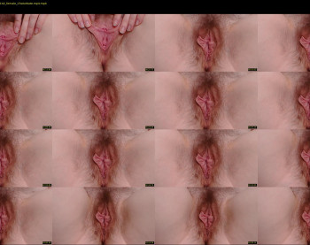 perfectdate — 4 minute Chaturbate female cam show recording, 1080p, Oct 29, 2021