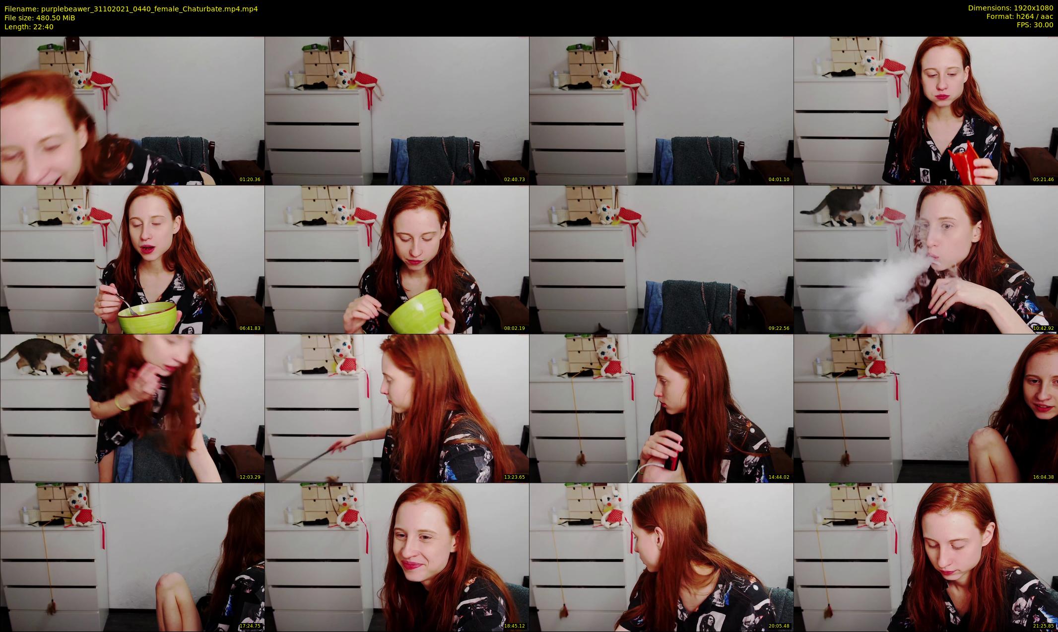 purplebeawer — 23 minute Chaturbate female cam show recording, 1080p, Oct 31, 2021