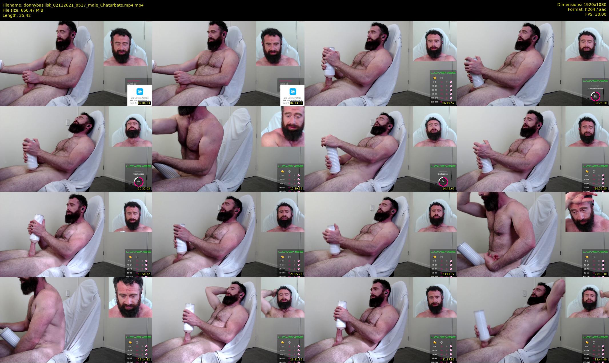 donnybasilisk — 36 minute Chaturbate male cam show recording, 1080p, Nov 2, 2021