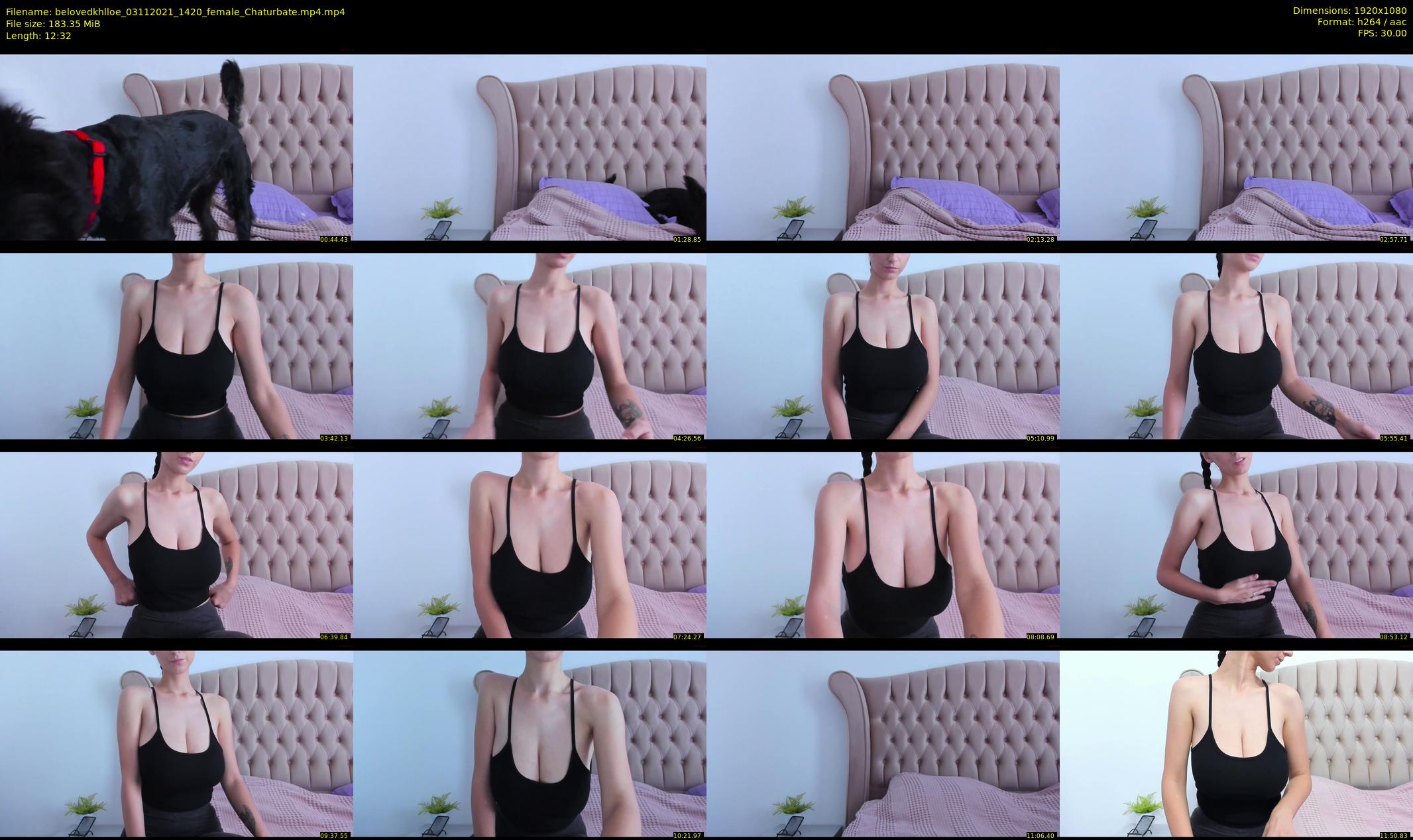 belovedkhlloe — 13 minute Chaturbate female cam show recording, 1080p, Nov 3, 2021