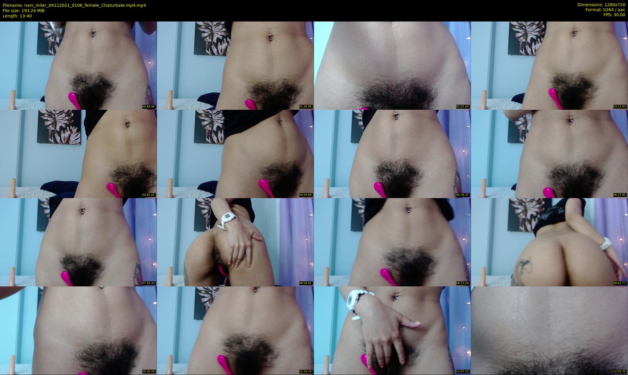 nani_miler — 14 minute Chaturbate female cam show recording, 720p, Nov 4, 2021