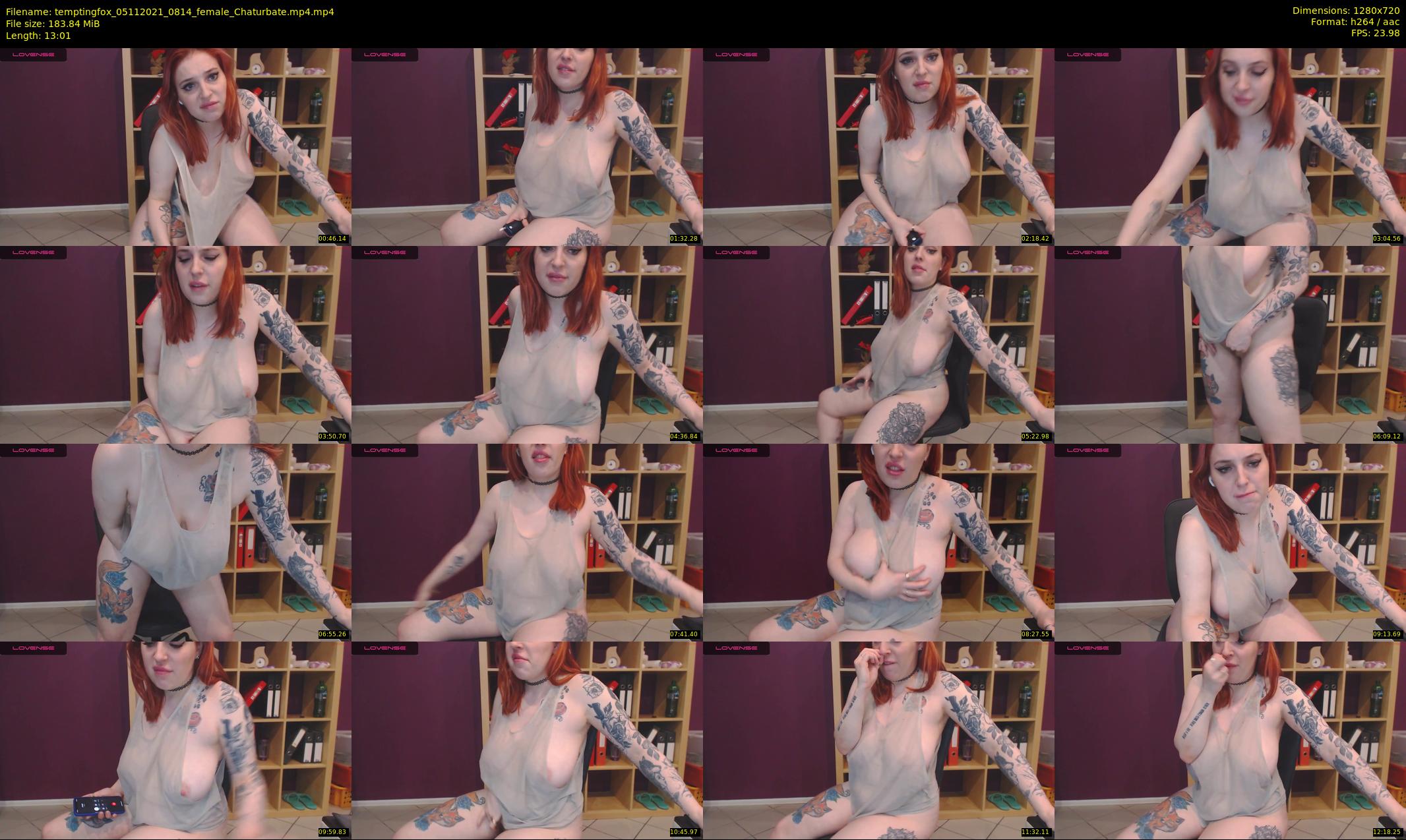 temptingfox — 14 minute Chaturbate female cam show recording, 720p, Nov 5, 2021