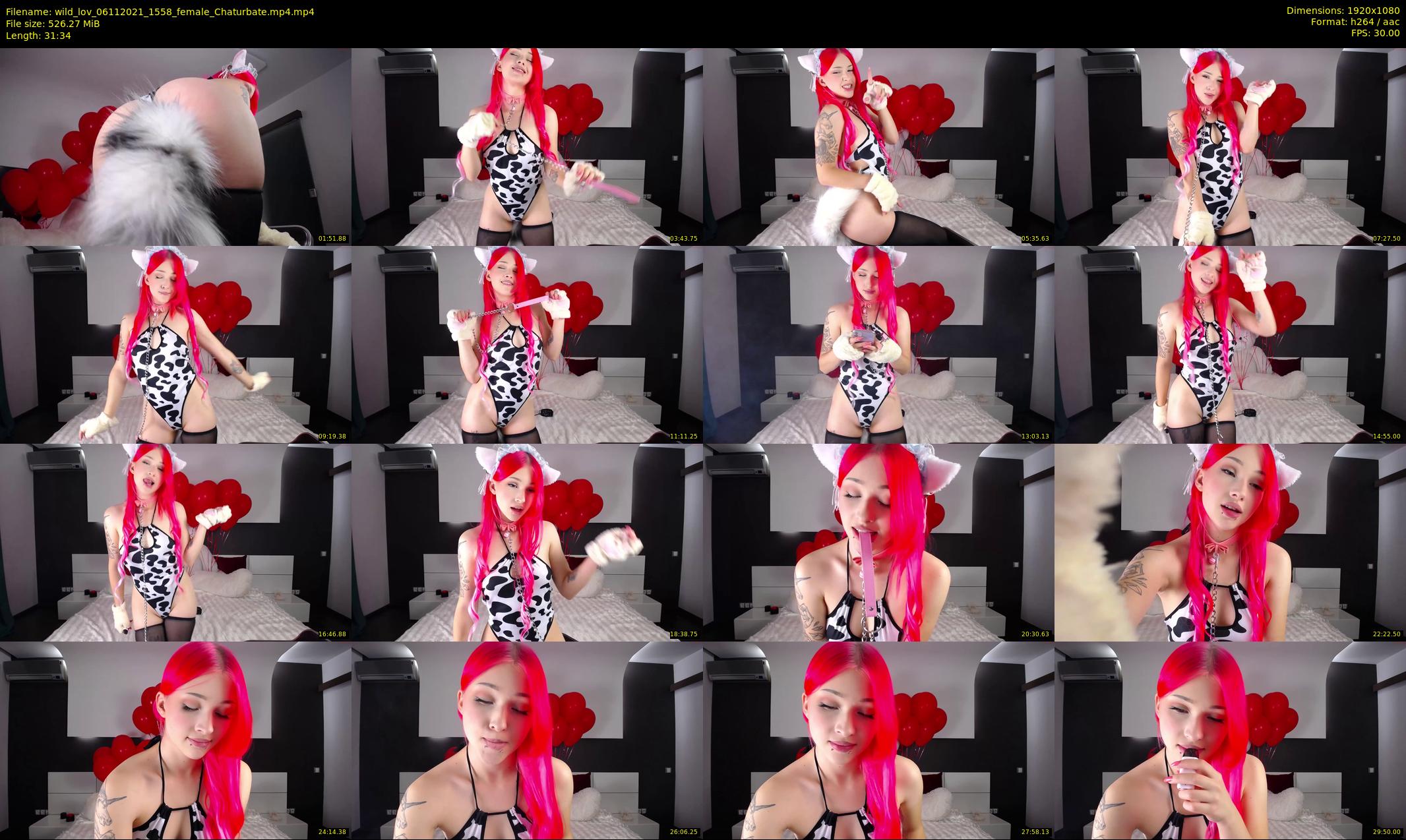 wild_lov — 32 minute Chaturbate female cam show recording, 1080p, Nov 6, 2021