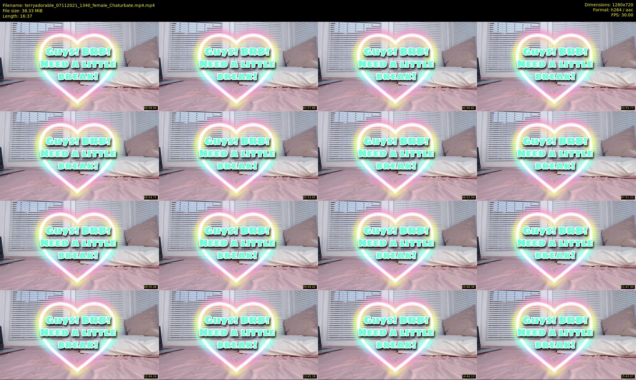 terryadorable — 17 minute Chaturbate female cam show recording, 720p, Nov 7, 2021