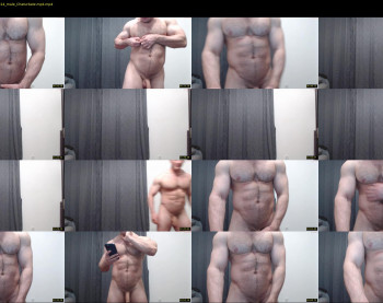andry_dick — 5 minute Chaturbate male cam show recording, 720p, Nov 9, 2021