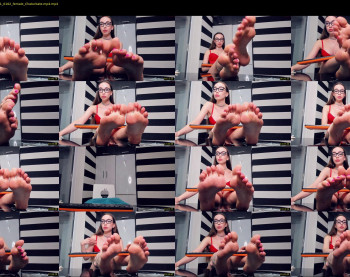 presidenttaylor — 36 minute Chaturbate female cam show recording, 720p, Nov 11, 2021