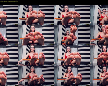 presidenttaylor — 49 minute Chaturbate female cam show recording, 720p, Nov 11, 2021