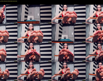 presidenttaylor — 27 minute Chaturbate female cam show recording, 720p, Nov 11, 2021