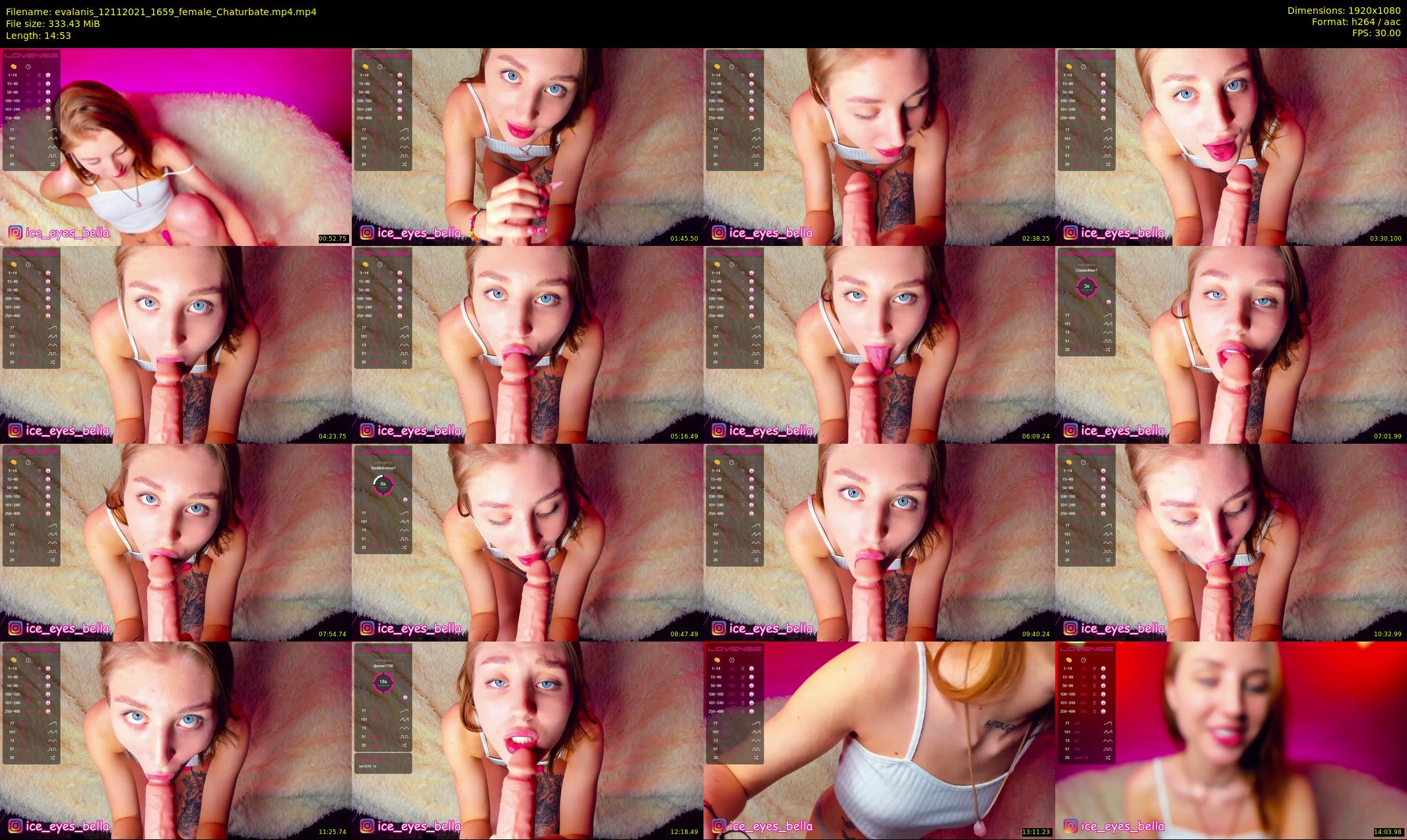 evalanis — 15 minute Chaturbate couple cam show recording, 1080p, Nov 12, 2021