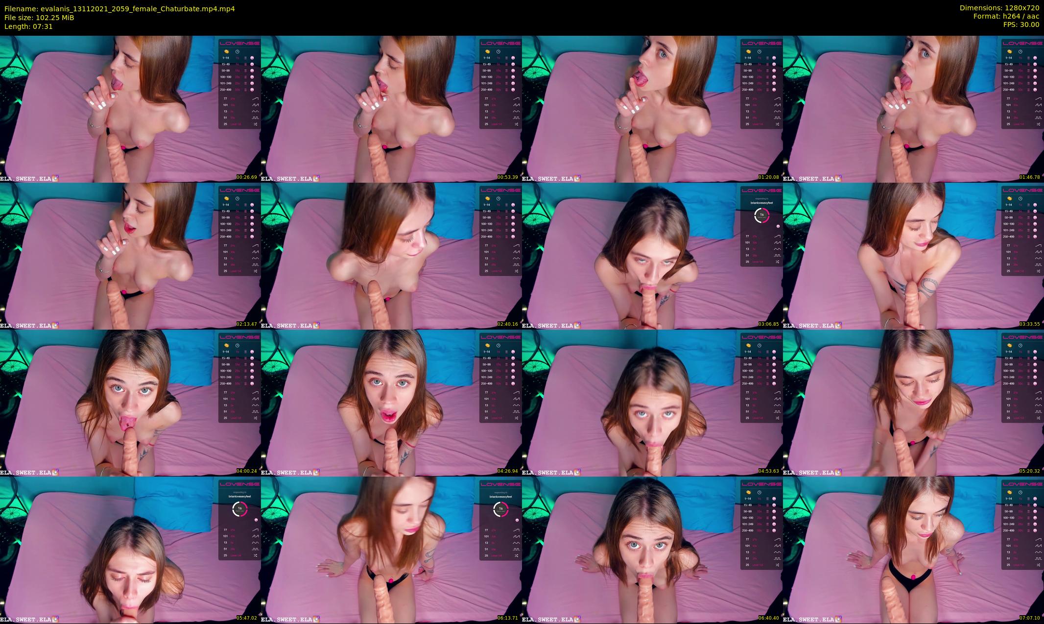 evalanis — 8 minute Chaturbate couple cam show recording, 720p, Nov 13, 2021