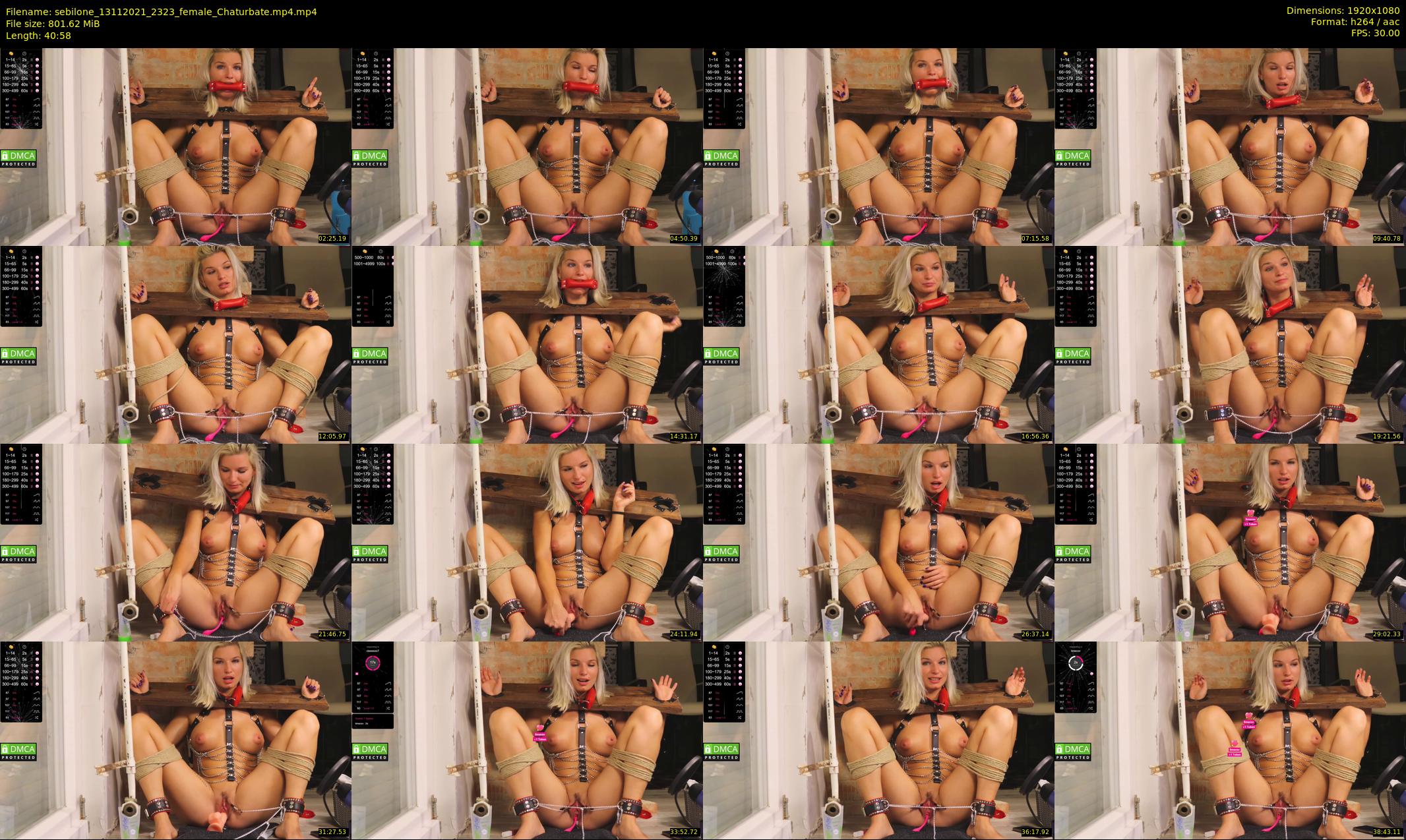 sebilone — 41 minute Chaturbate couple cam show recording, 1080p, Nov 13, 2021
