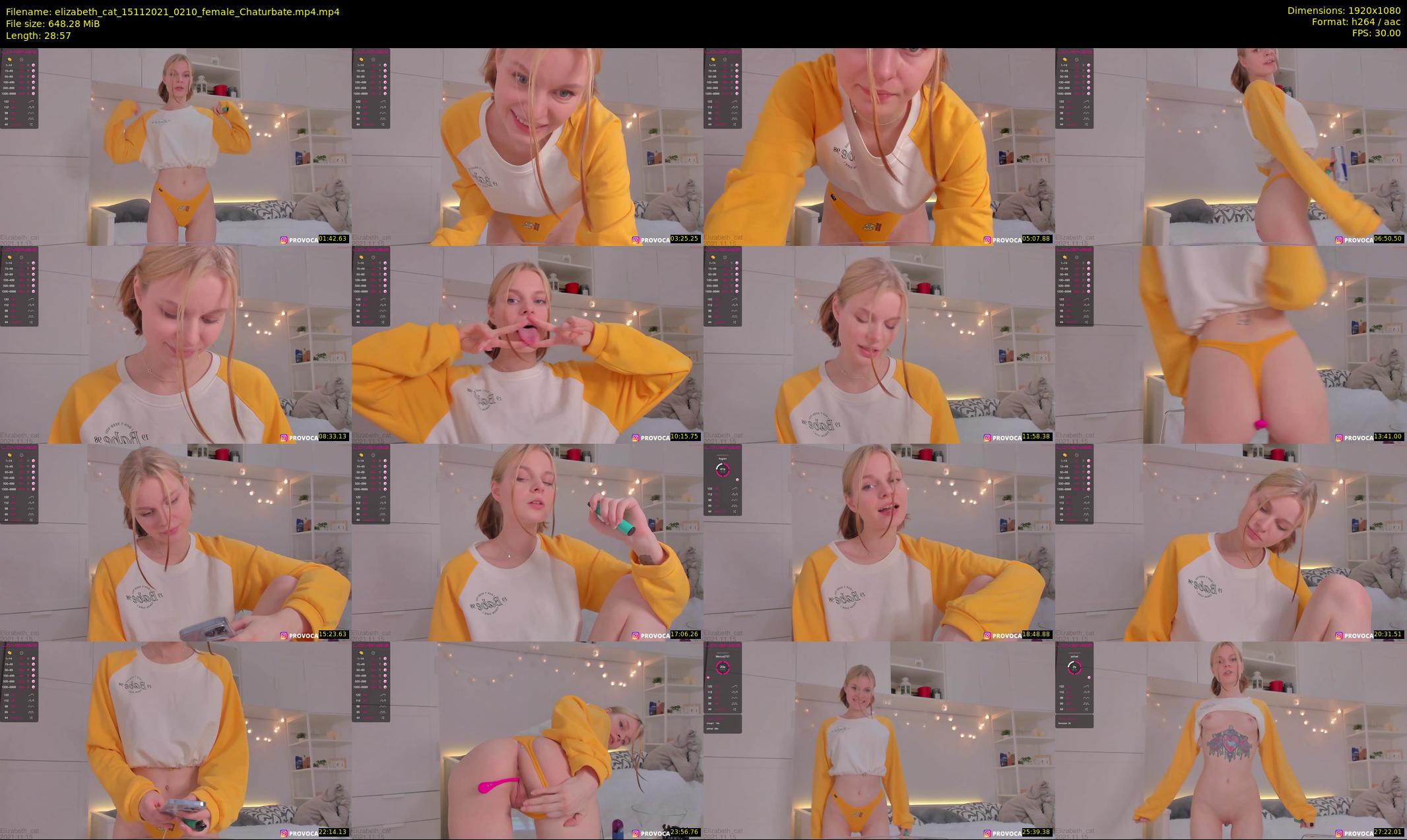 elizabeth_cat — 29 minute Chaturbate female cam show recording, 1080p, Nov 15, 2021