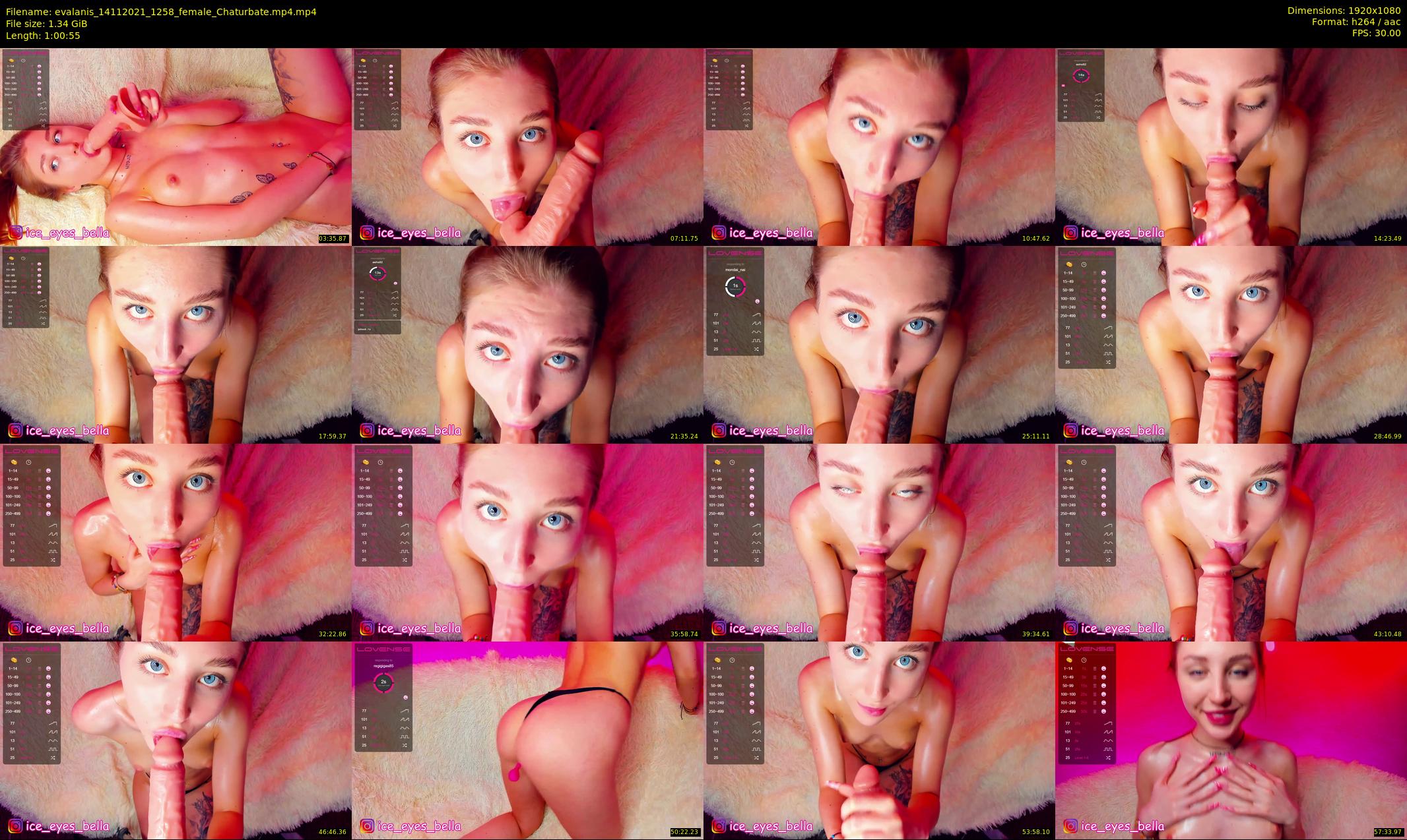 evalanis — 61 minute Chaturbate couple cam show recording, 1080p, Nov 14, 2021