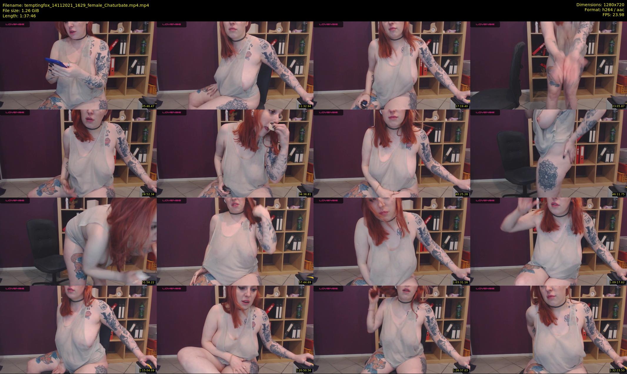 temptingfox — 98 minute Chaturbate female cam show recording, 720p, Nov 14, 2021