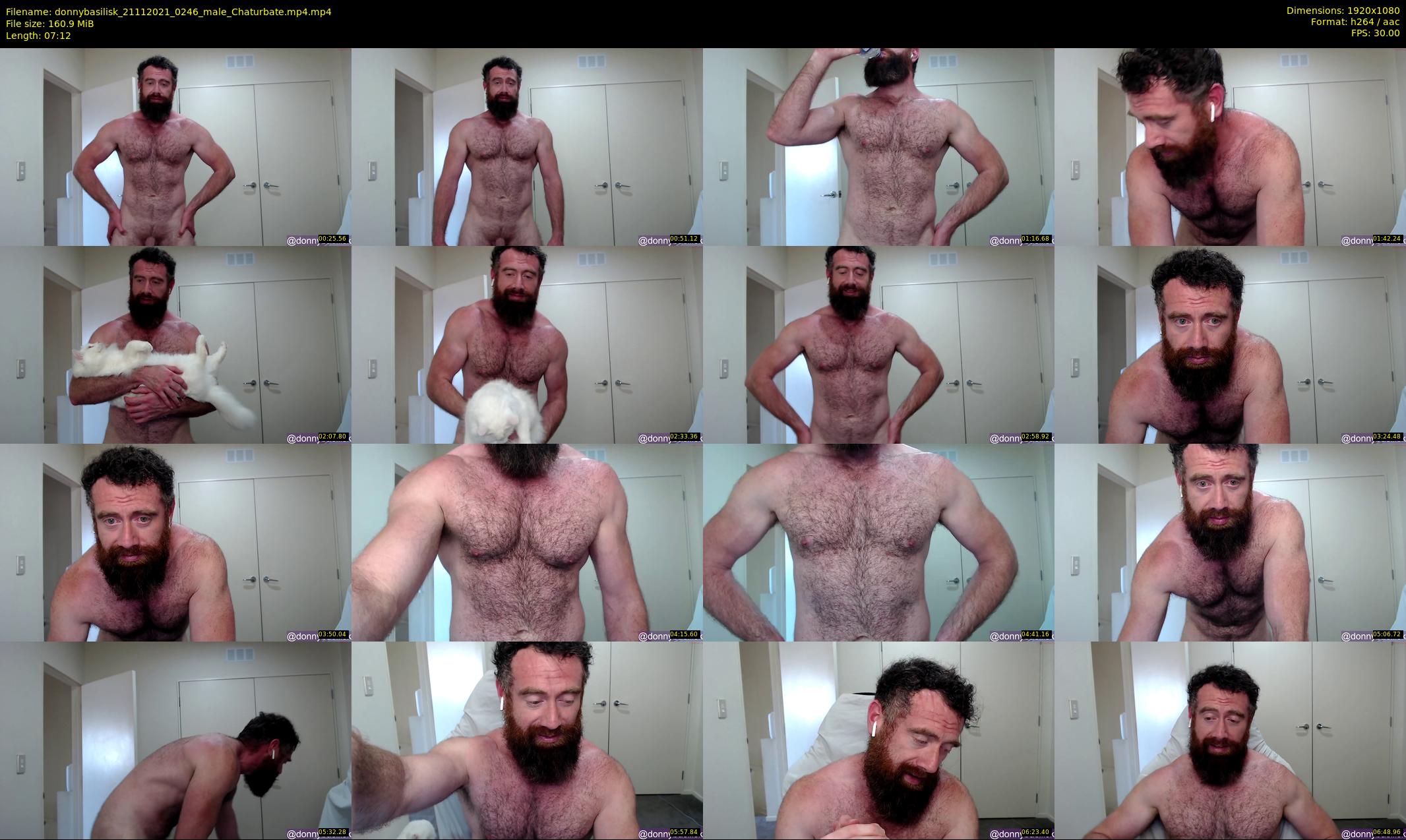 donnybasilisk — 8 minute Chaturbate male cam show recording, 1080p, Nov 21, 2021