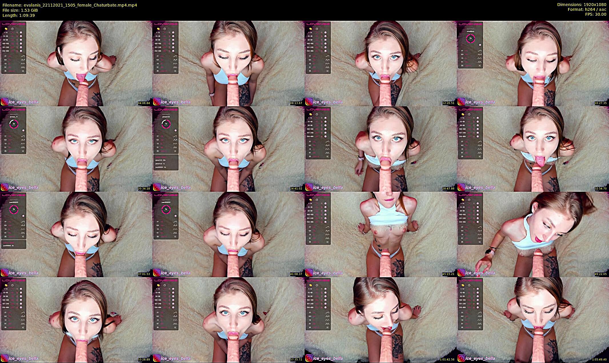 evalanis — 70 minute Chaturbate couple cam show recording, 1080p, Nov 22, 2021