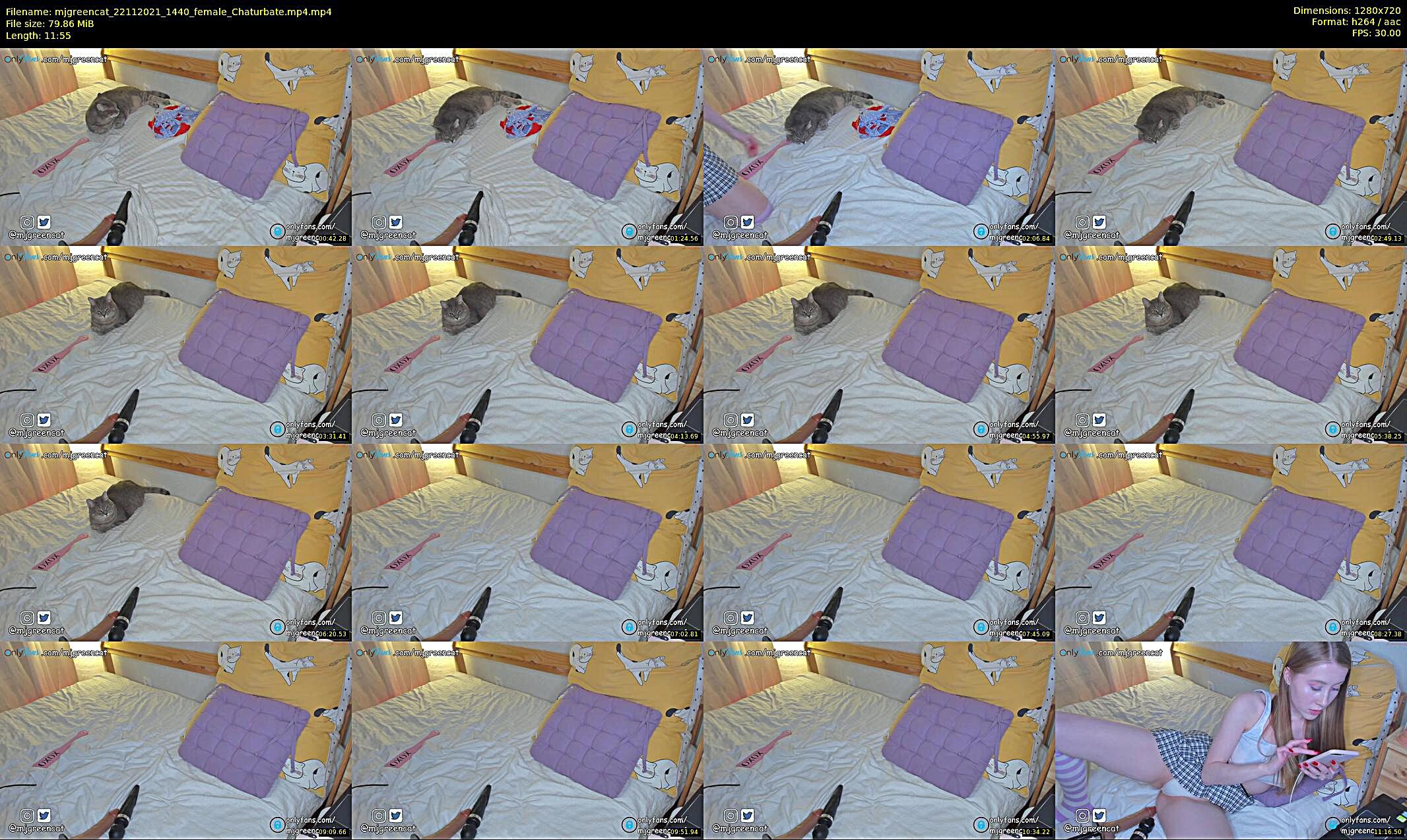 mjgreencat — 12 minute Chaturbate female cam show recording, 720p, Nov 22, 2021