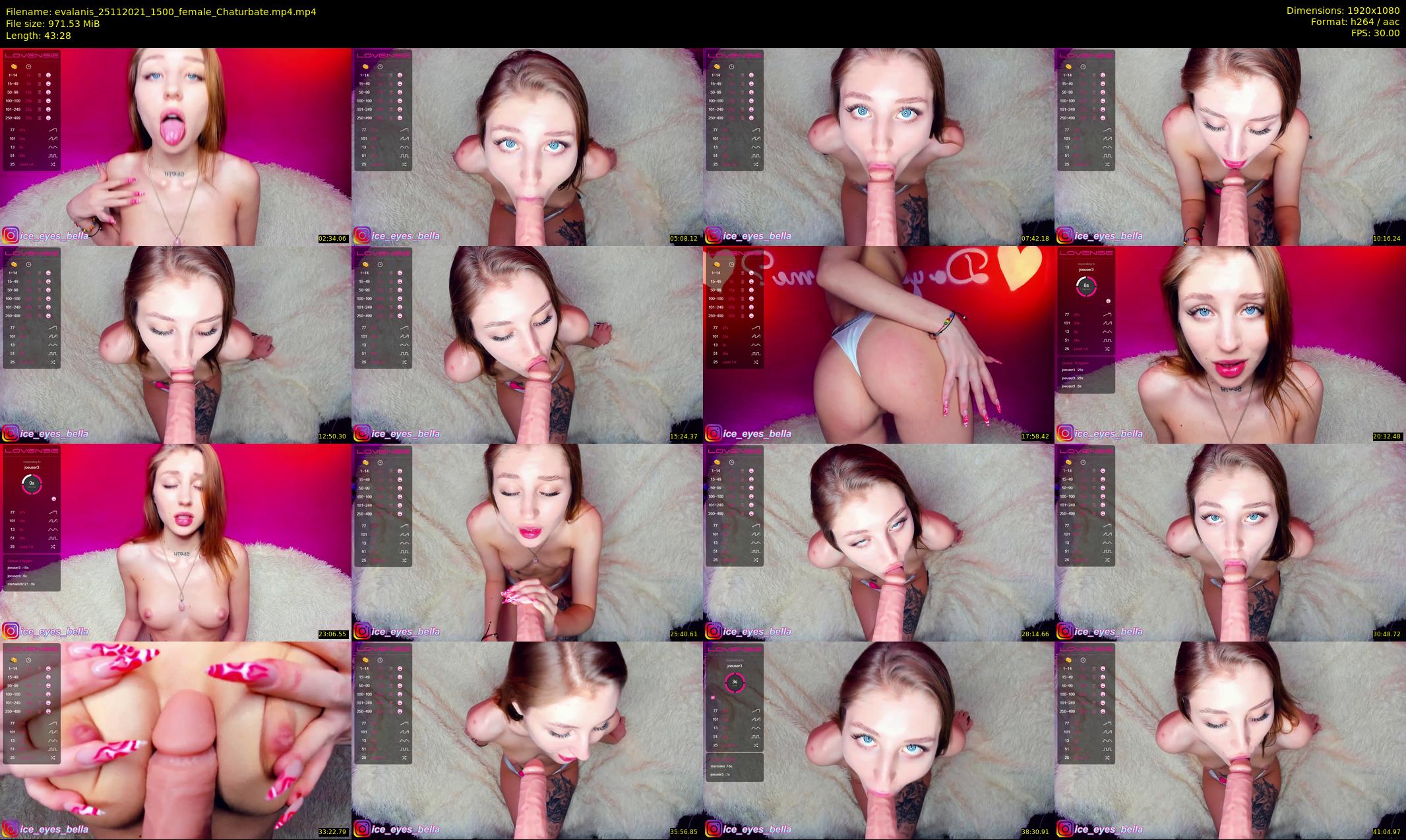 evalanis — 44 minute Chaturbate couple cam show recording, 1080p, Nov 25, 2021