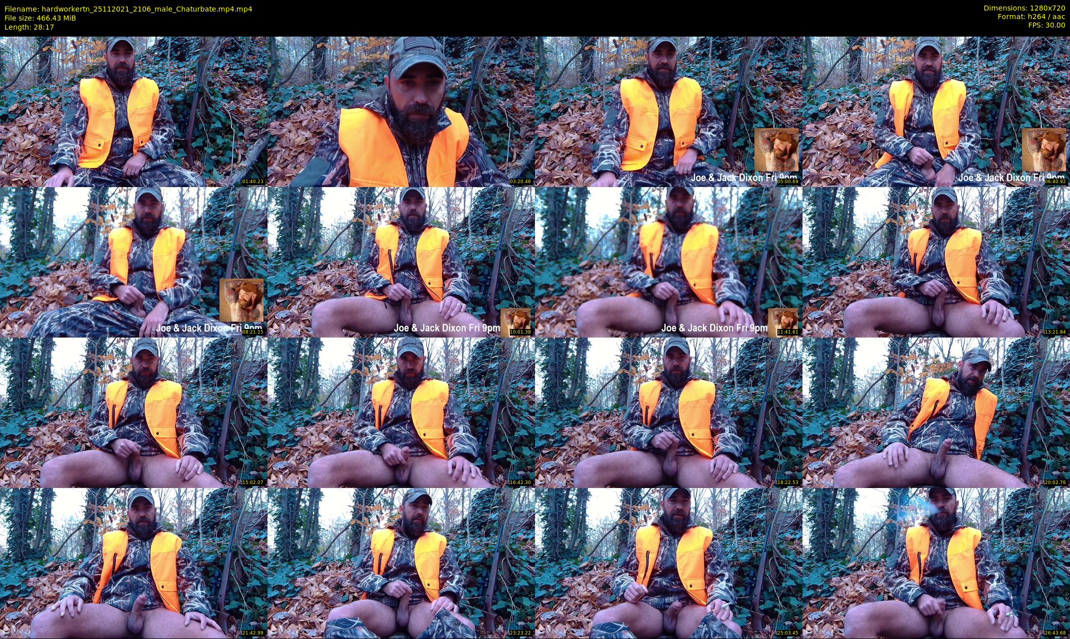 hardworkertn — 29 minute Chaturbate male cam show recording, 720p, Nov 25, 2021