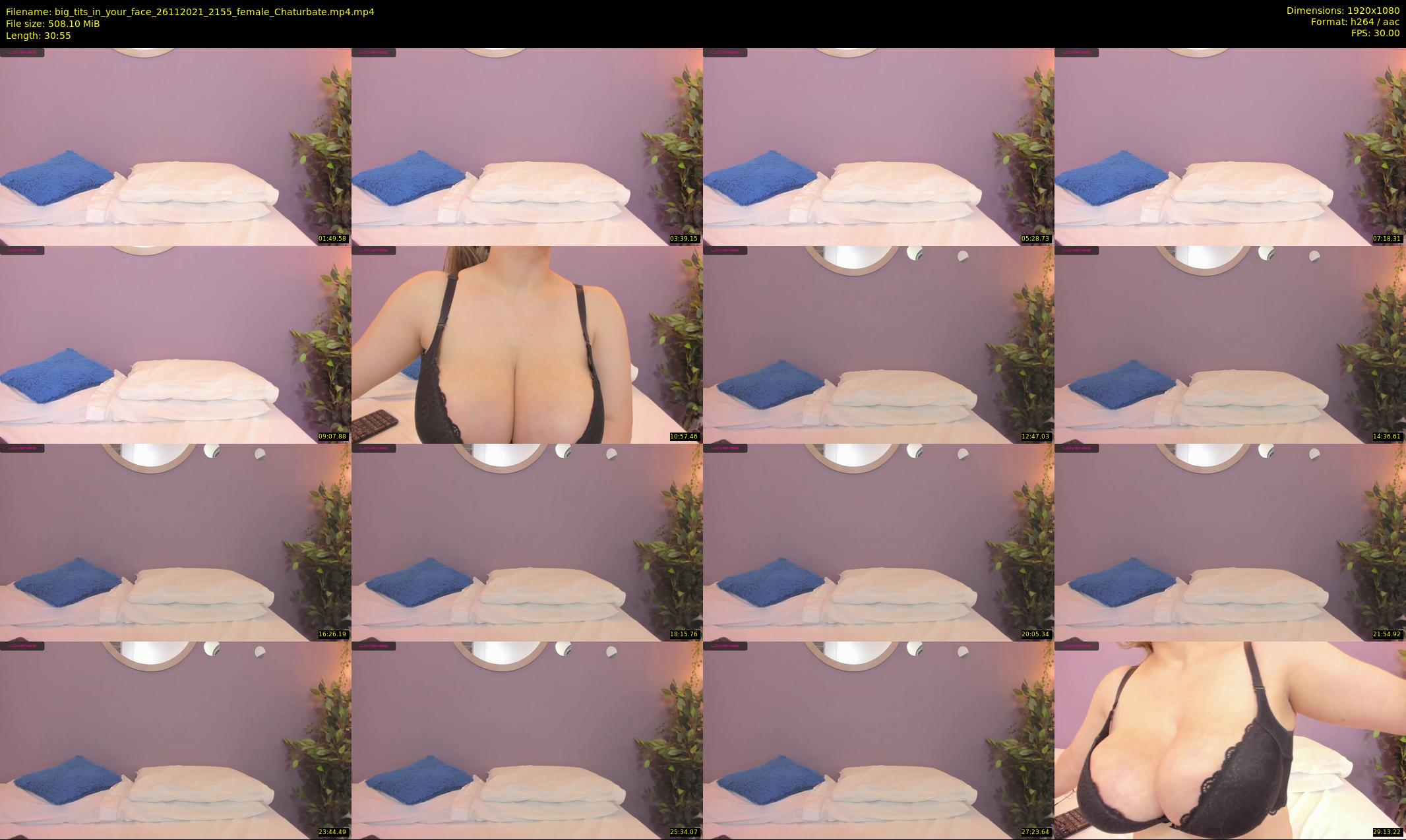 big_tits_in_your_face — 31 minute Chaturbate female cam show recording, 1080p, Nov 26, 2021
