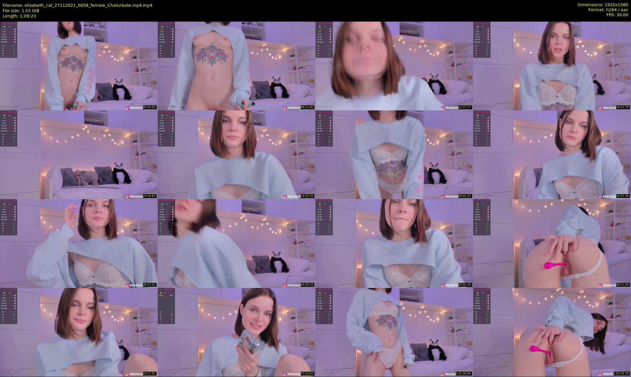 elizabeth_cat — 70 minute Chaturbate female cam show recording, 1080p, Nov 27, 2021