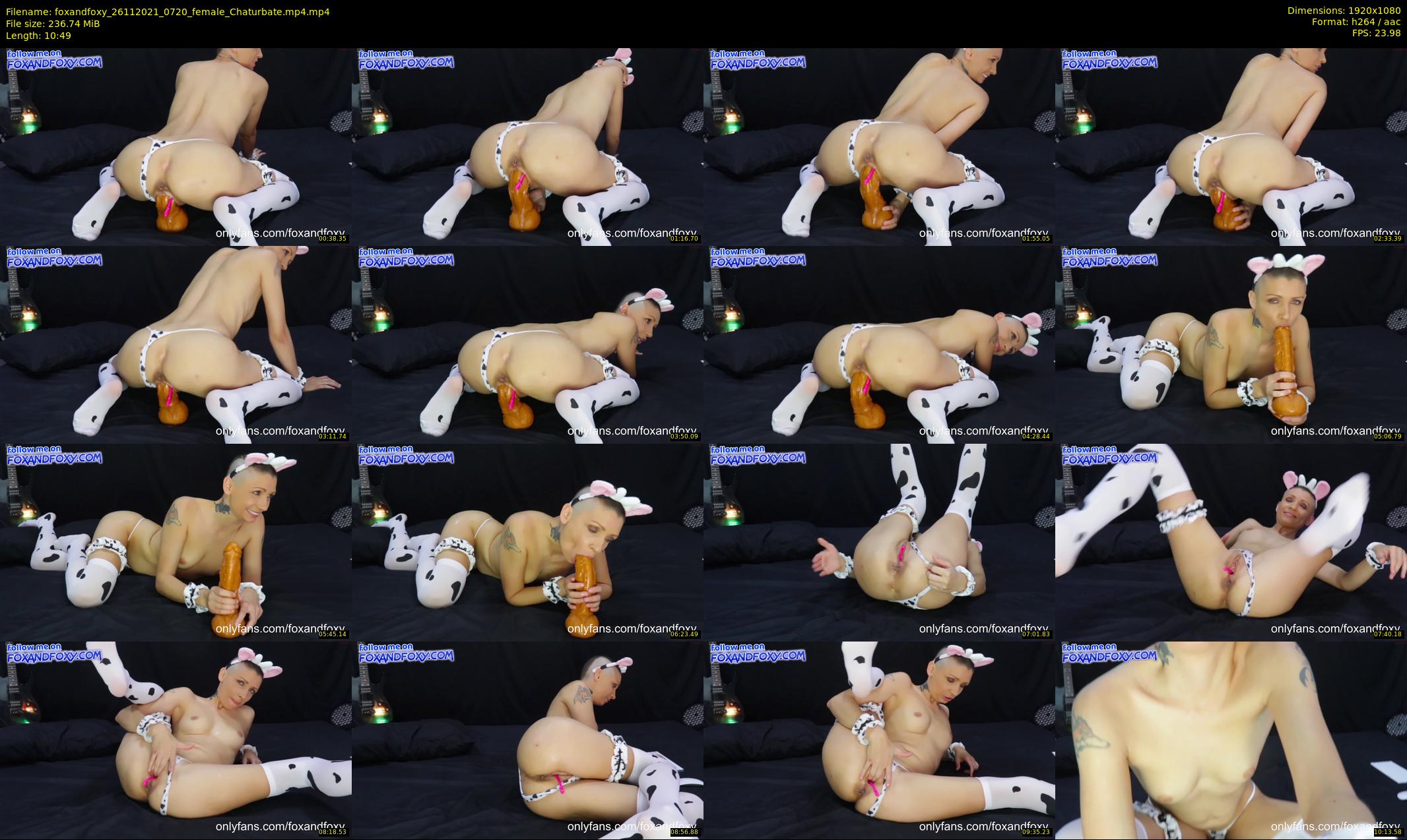 foxandfoxy — 11 minute Chaturbate couple cam show recording, 1080p, Nov 26, 2021