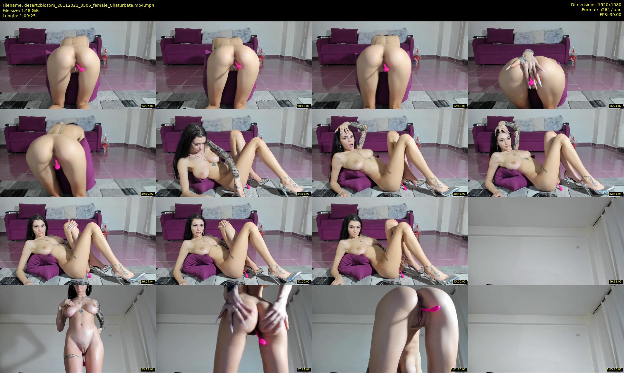 desert2blosom — 70 minute Chaturbate female cam show recording, 1080p, Nov 28, 2021