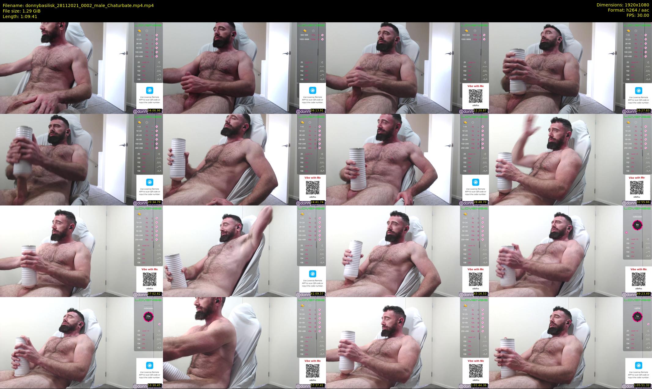 donnybasilisk — 70 minute Chaturbate male cam show recording, 1080p, Nov 28, 2021