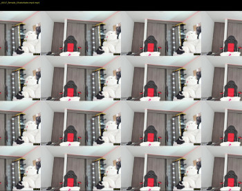 kelly_peirce13 — 8 minute Chaturbate female cam show recording, 1080p, Nov 29, 2021