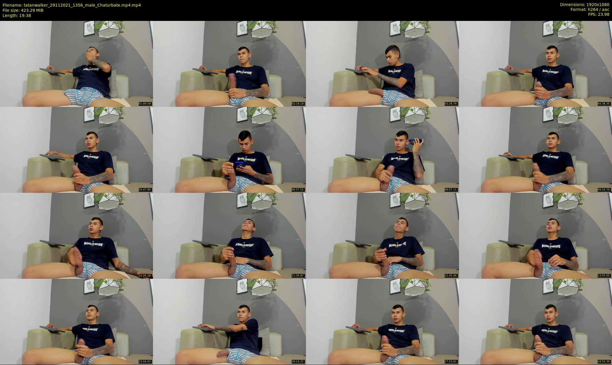 tatanwalker — 20 minute Chaturbate male cam show recording, 1080p, Nov 29, 2021