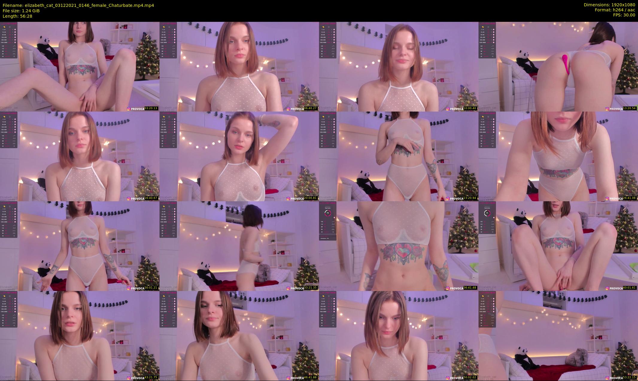 elizabeth_cat — 57 minute Chaturbate female cam show recording, 1080p, Dec 3, 2021
