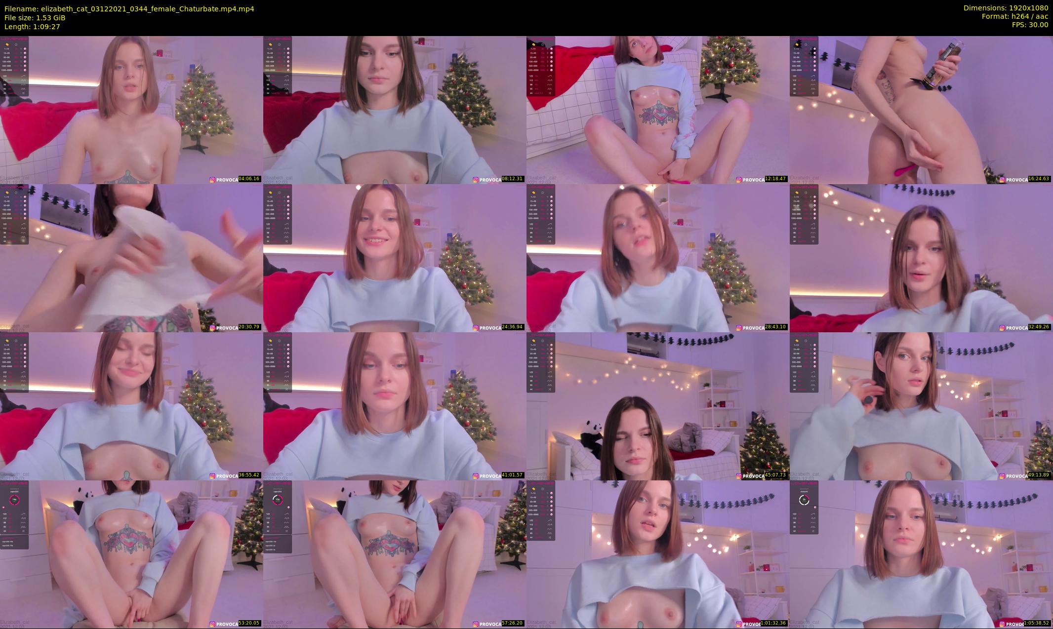 elizabeth_cat — 70 minute Chaturbate female cam show recording, 1080p, Dec 3, 2021
