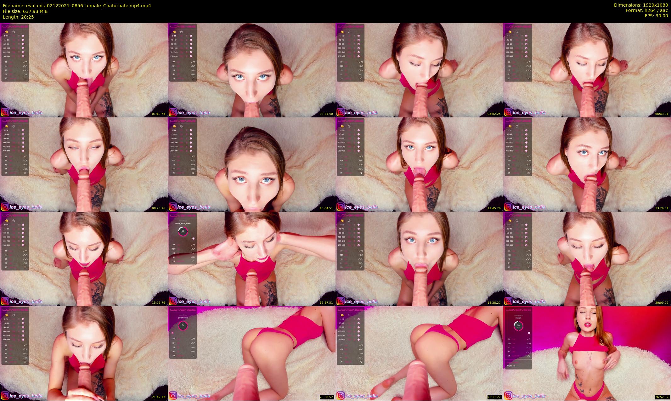 evalanis — 29 minute Chaturbate couple cam show recording, 1080p, Dec 2, 2021