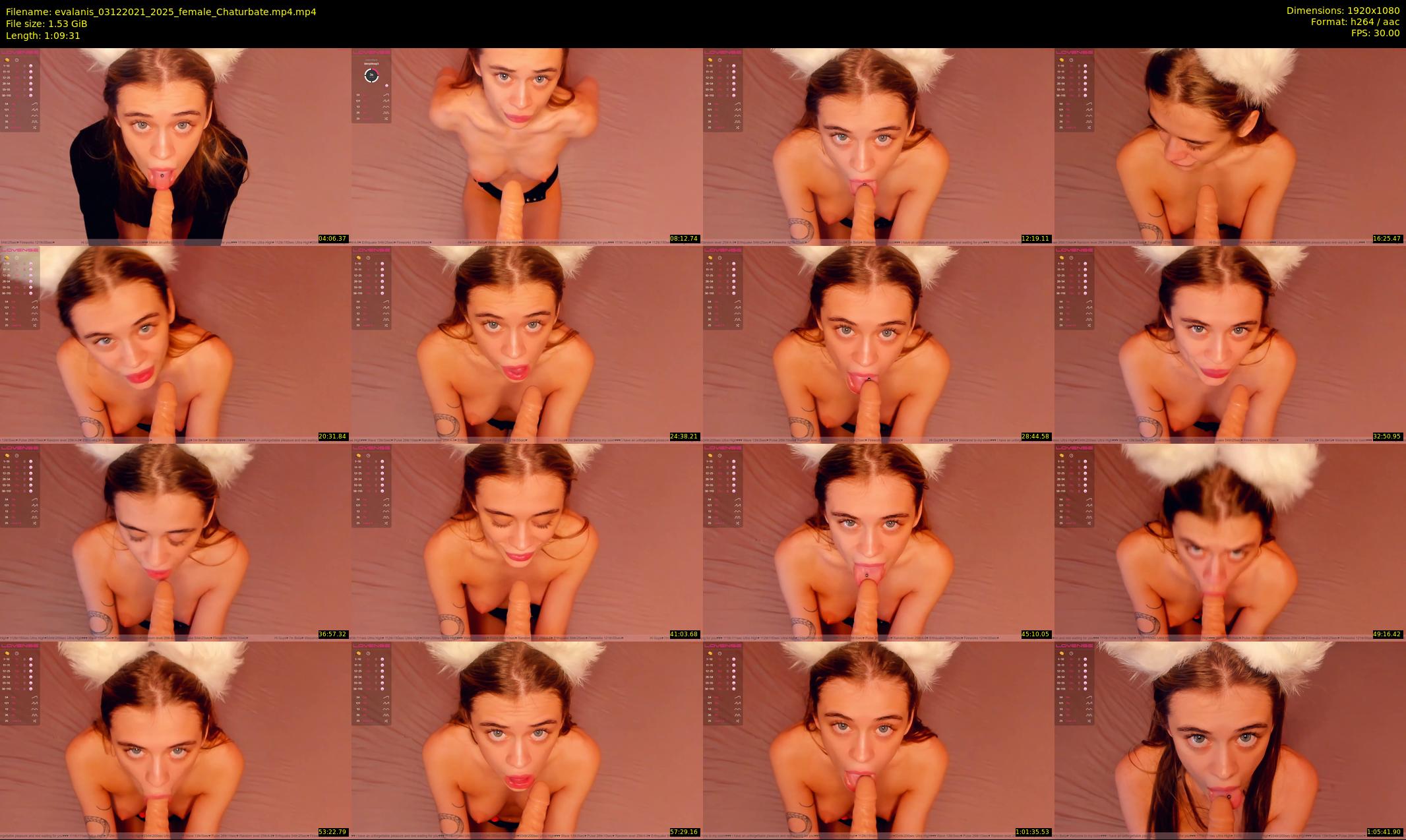 evalanis — 70 minute Chaturbate couple cam show recording, 1080p, Dec 3, 2021