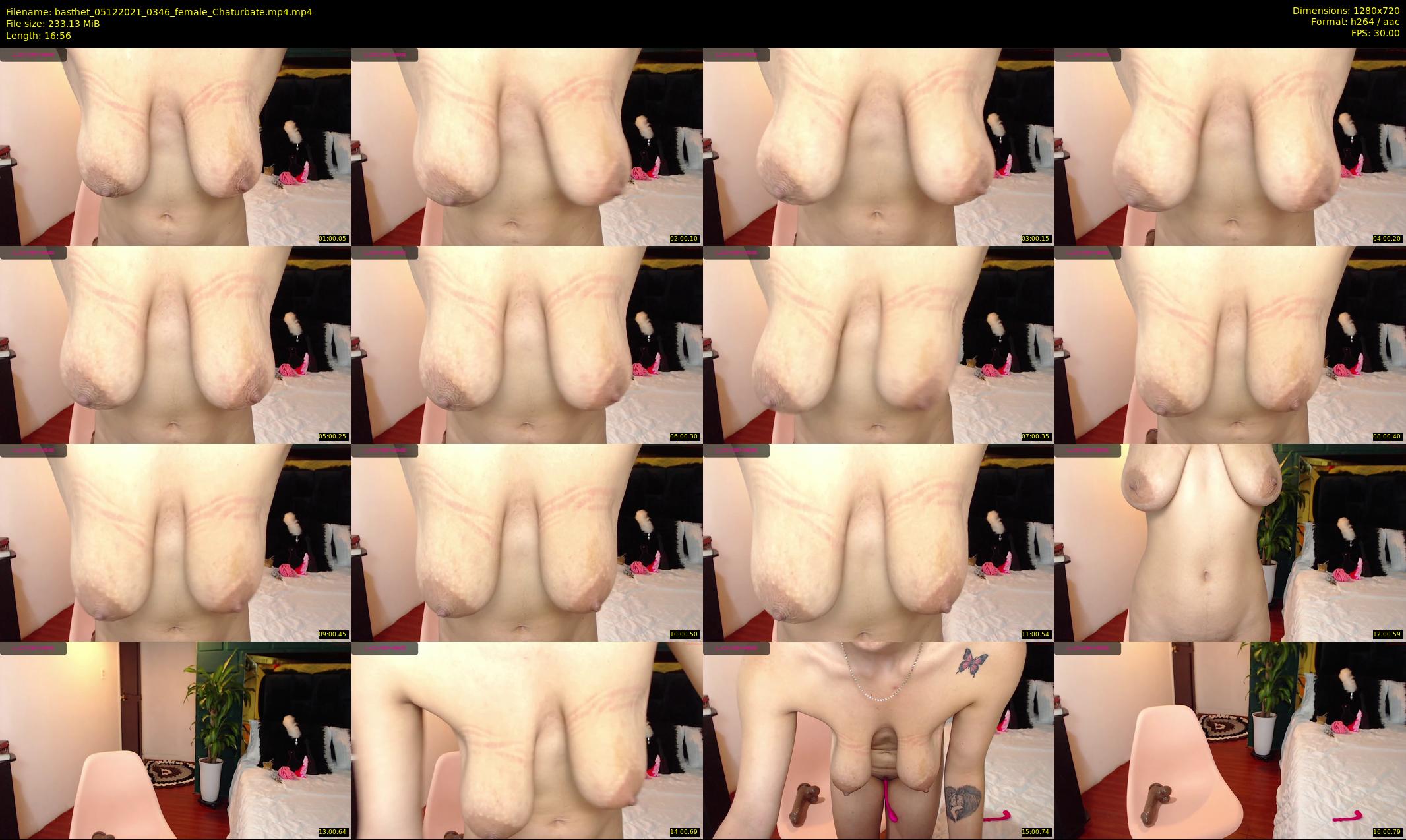 basthet — 17 minute Chaturbate female cam show recording, 720p, Dec 5, 2021