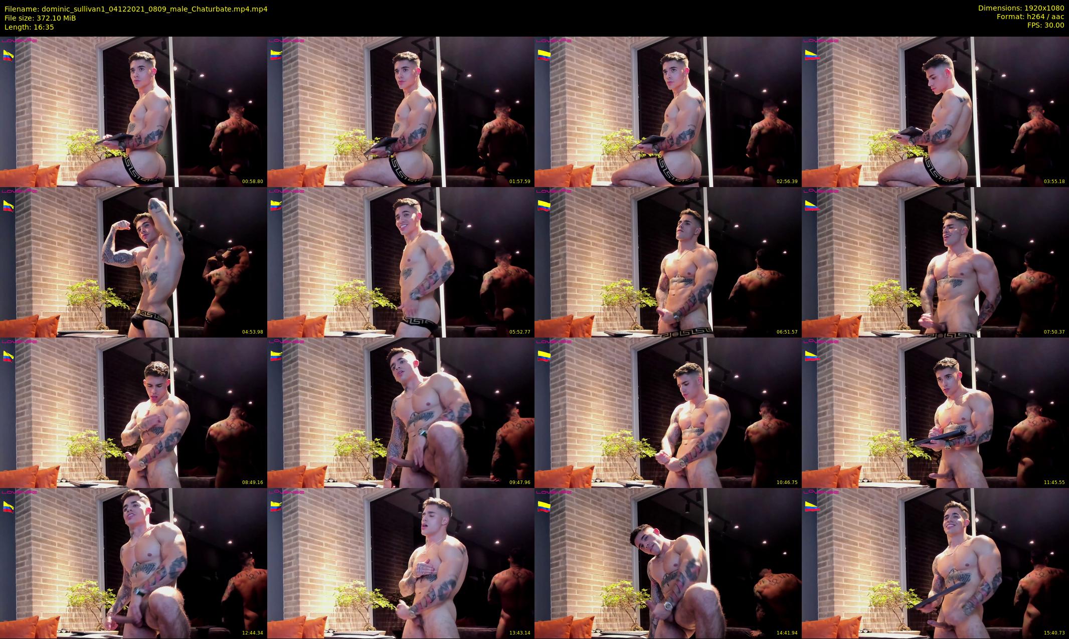 dominic_sullivan1 — 17 minute Chaturbate male cam show recording, 1080p, Dec 4, 2021
