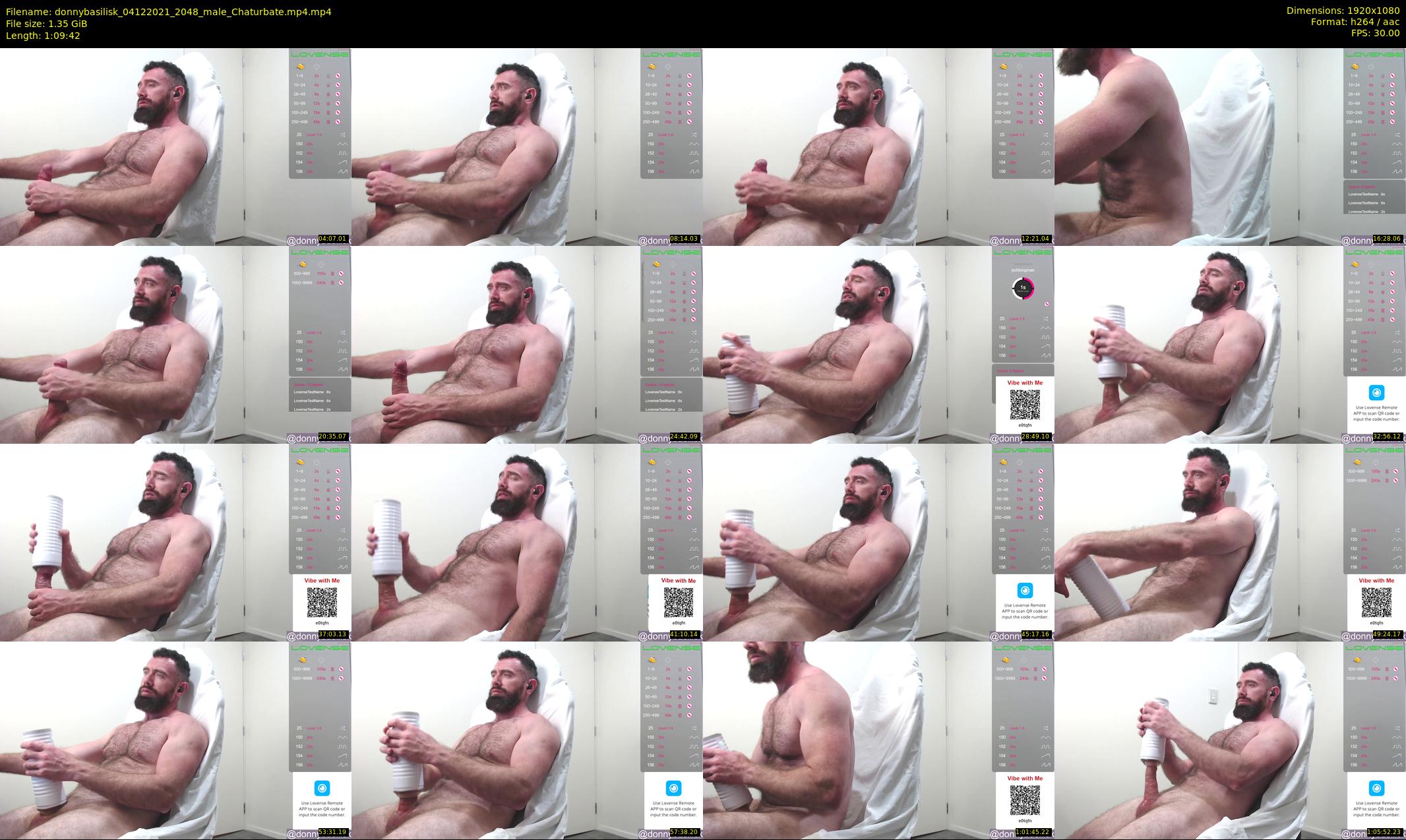 donnybasilisk — 70 minute Chaturbate male cam show recording, 1080p, Dec 4, 2021