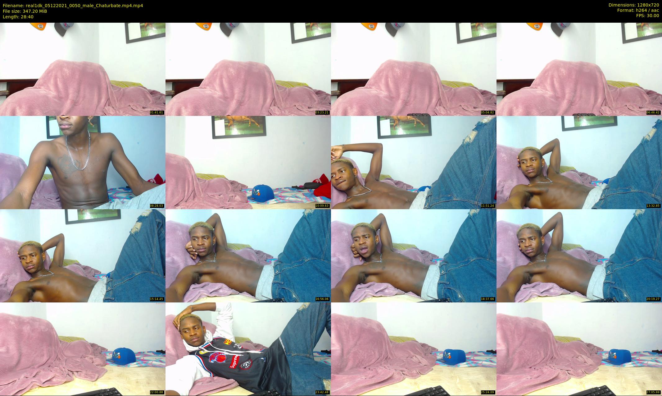 real1dk — 29 minute Chaturbate male cam show recording, 720p, Dec 5, 2021