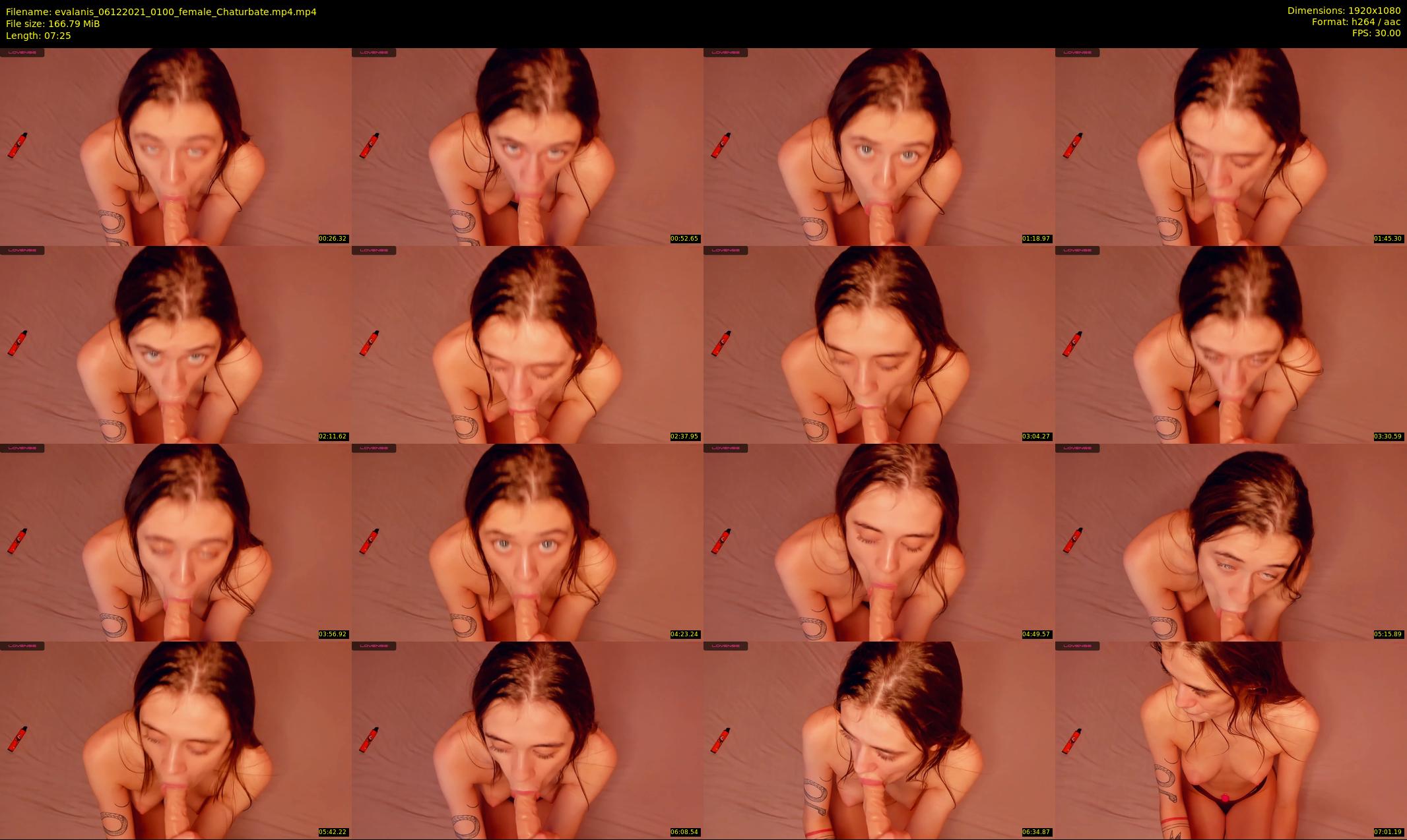 evalanis — 8 minute Chaturbate couple cam show recording, 1080p, Dec 6, 2021