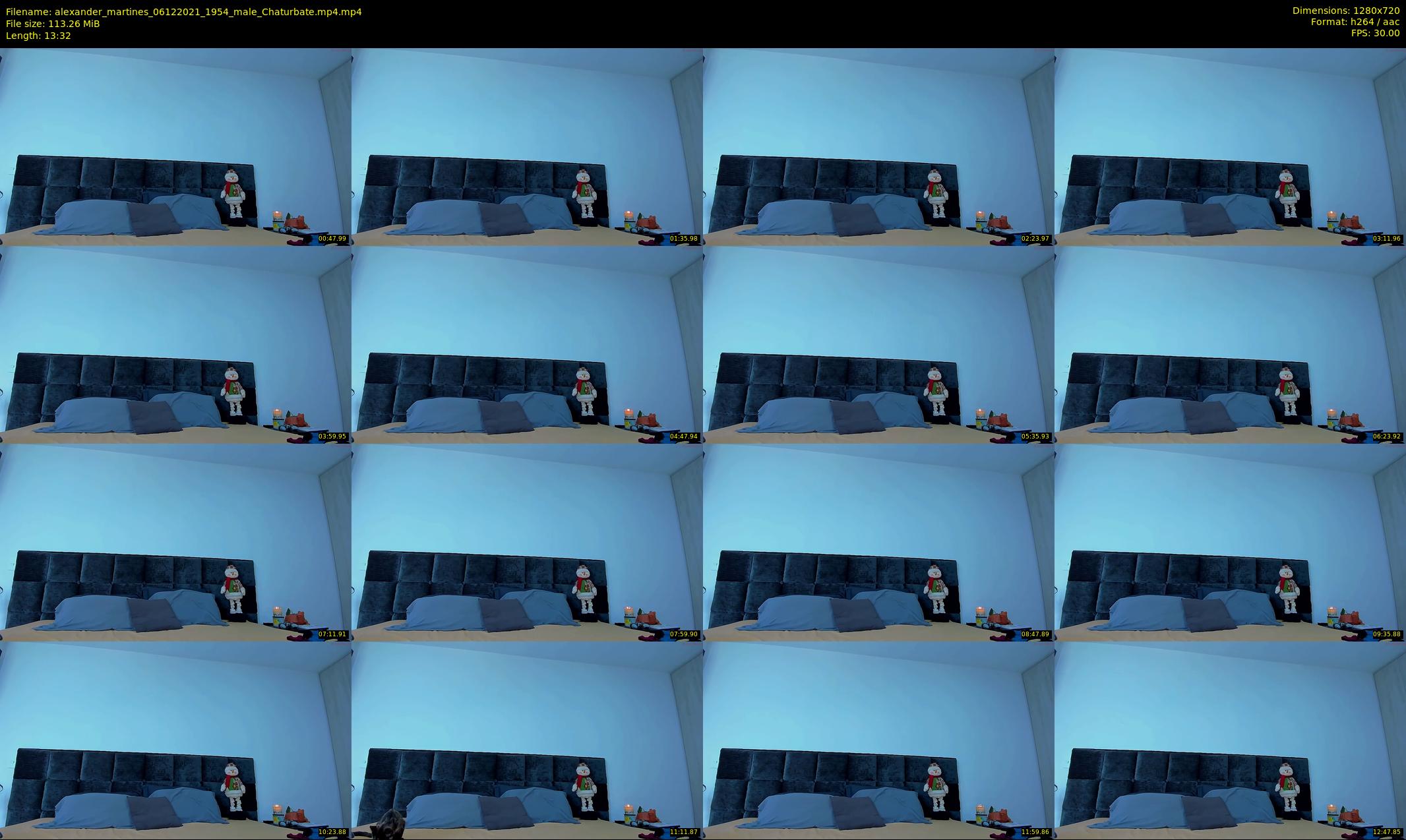 alexander_martines — 14 minute Chaturbate male cam show recording, 720p, Dec 6, 2021