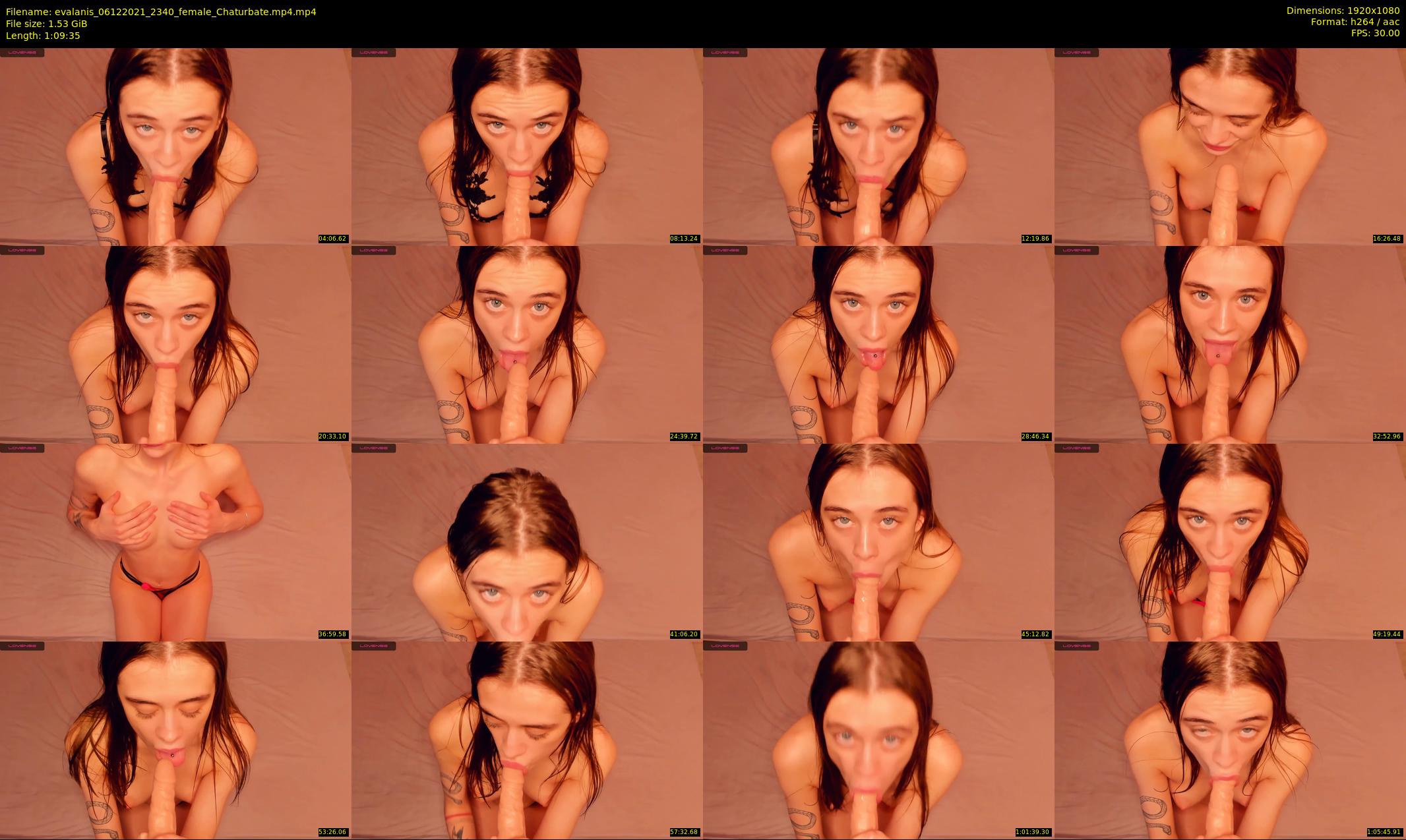 evalanis — 70 minute Chaturbate couple cam show recording, 1080p, Dec 6, 2021