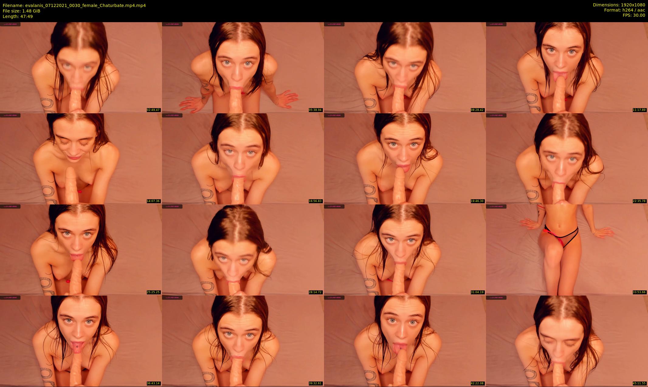 evalanis — 48 minute Chaturbate couple cam show recording, 1080p, Dec 7, 2021