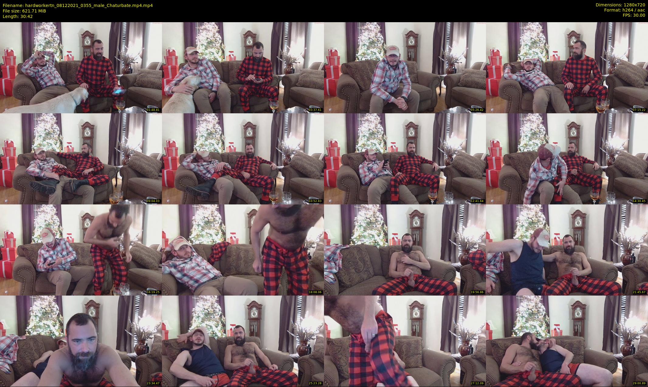 hardworkertn — 31 minute Chaturbate male cam show recording, 720p, Dec 8, 2021
