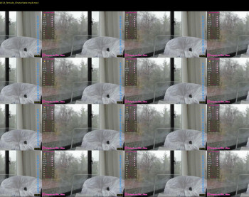 m1ss_ariana — 14 minute Chaturbate female cam show recording, 1080p, Dec 8, 2021