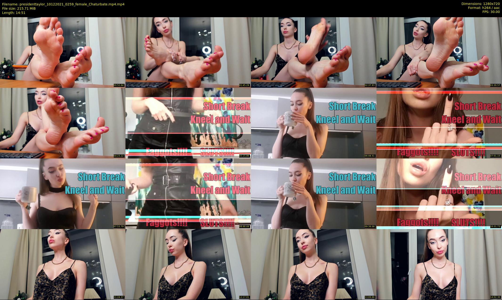 presidenttaylor — 15 minute Chaturbate female cam show recording, 720p, Dec 10, 2021